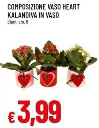 Famila Composizione vaso heart kalandiva in vaso offerta