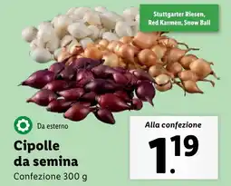 Lidl Cipolle da semina offerta