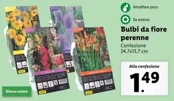 Lidl Bulbi da fiore perenne offerta