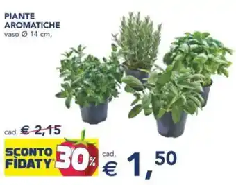 Esselunga Piante aromatiche offerta