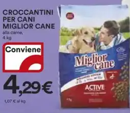 Ipercoop Croccantini per cani miglior cane offerta