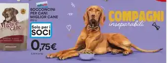 Ipercoop Bocconcini per cani miglior cane offerta