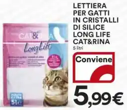 Ipercoop Lettiera per gatti in cristalli di silice long life cat&rina offerta