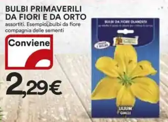 Ipercoop Bulbi primaverili da fiori e da orto offerta