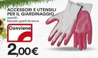 Ipercoop Accessori e utensili per il giardinaggio offerta