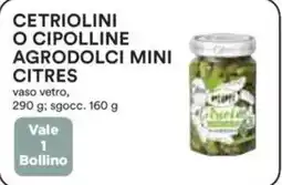 Ipercoop Cetriolini o cipolline agrodolci mini citres offerta