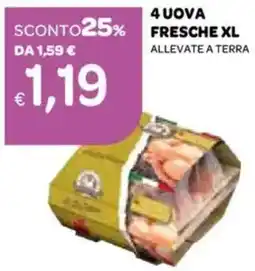 Ekom 4 uova fresche xl allevate a terra offerta