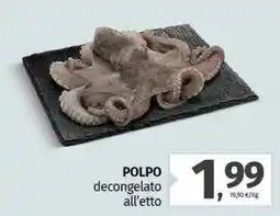 Pam Polpo decongelato offerta