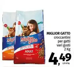 Pam MIGLIOR GATTO croccantini per gatti offerta