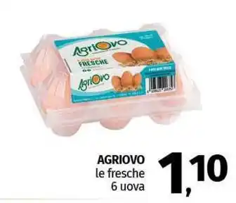 Pam AGRIOVO le fresche 6 uova offerta