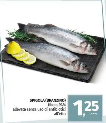 Pam Spigola (branzino) offerta