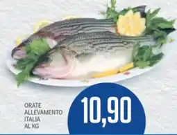 Supermercati Piccolo Orate allevamento italia offerta