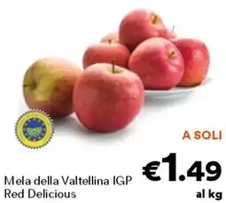 Unes Mela della valtellina igp red delicious offerta