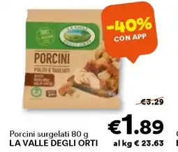 Unes Porcini surgelati LA VALLE DEGLI ORTI offerta