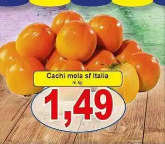 Cachi mela