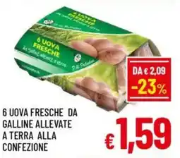 A&O 6 uova fresche da galline allevate a terra alla confezione offerta