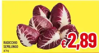 A&O Radicchio semilungo al kg offerta