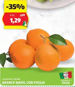 ALDI I colori del sapore arance navel con foglia offerta