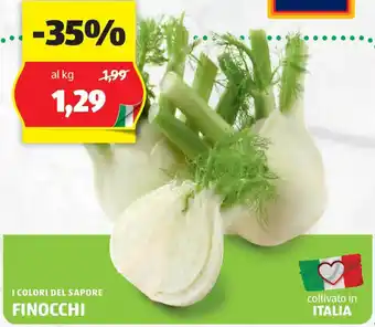 ALDI I colori del sapore finocchi offerta