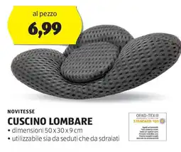 ALDI Novitesse cuscino lombare offerta