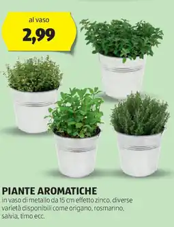 ALDI Piante aromatiche offerta