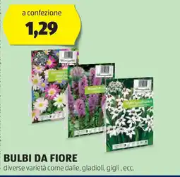 ALDI Bulbi da fiore offerta