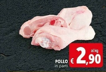 Deco Supermercati Pollo offerta