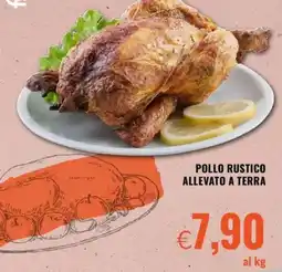 Famila Pollo rustico allevato a terra offerta