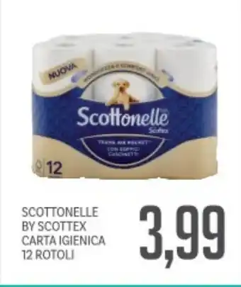 Supermercati Piccolo Scottonelle by scottex carta igienica offerta