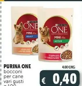 Deco Supermercati One bocconi per cane offerta