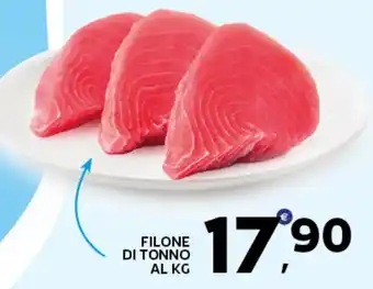 Extra Supermercati Filone di tonno offerta