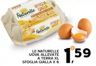 Extra Supermercati Le naturelle uova allevate a terra xl sfoglia gialla offerta