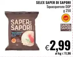 Famila SELEX SAPER DI SAPORI Squacquerone DOP offerta