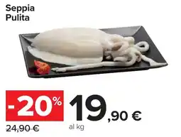 Carrefour Seppia Pulita offerta