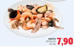 Eté Misto scoglio offerta