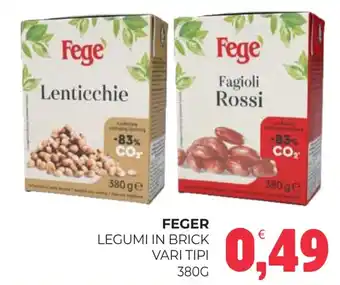 Eté Feger legumi in brick vari tipi offerta