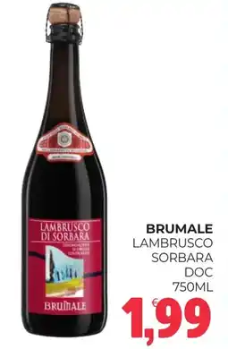 Eté Brumale lambrusco sorbara doc offerta