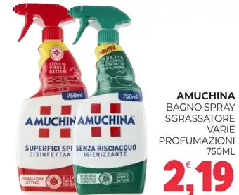 Eté Amuchina bagno spray sgrassatore offerta