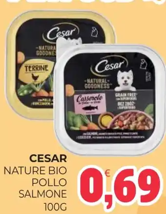 Eté Cesar nature bio pollo salmone offerta