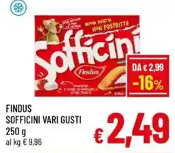 A&O Findus sofficini vari gusti offerta