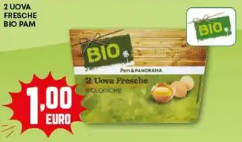 Pam 2 uova fresche bio PAM offerta