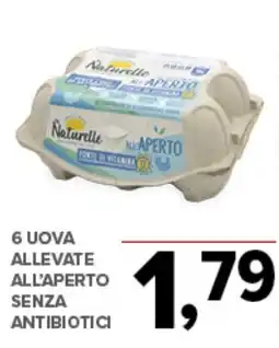 Todis 6 uova allevate all'aperto senza antibiotici offerta