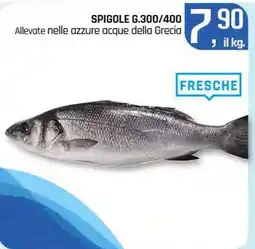 Famila Superstore Spigole offerta