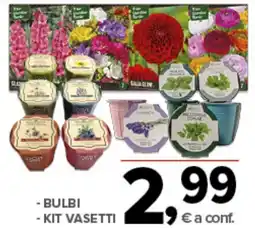 Todis Bulbi, kit vasetti offerta