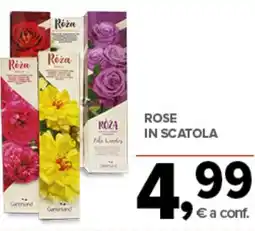 Todis Rose in scatola offerta