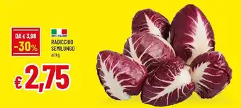 Famila Radicchio semilungo offerta