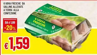 Famila 6 uova fresche da galline allevate a terra alla confezione offerta