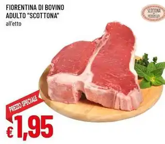 Famila Fiorentina di bovino adulto SCOTTONA offerta