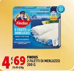 Deco Supermercati Findus 2 filetti di merluzzo offerta