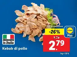 Lidl Kebab di pollo offerta